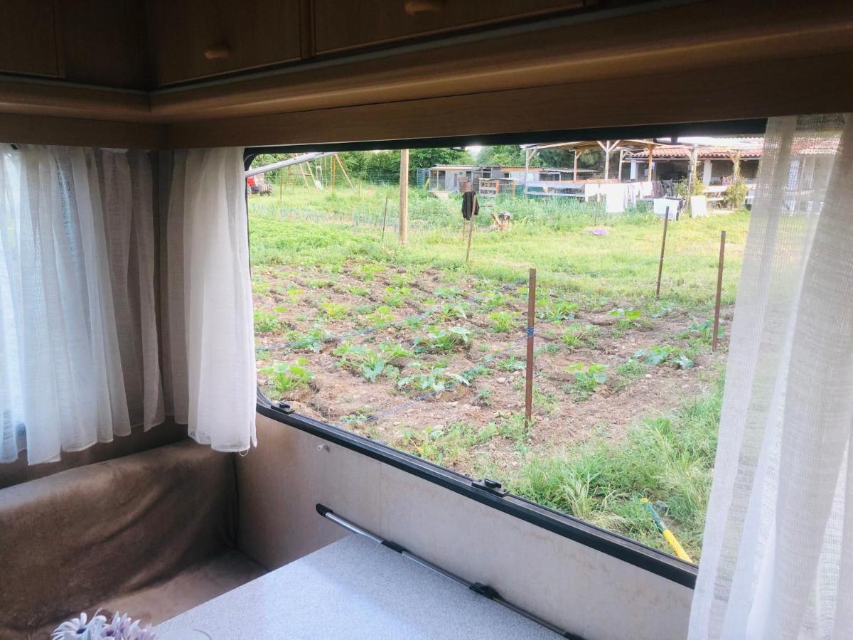 Hotel La Ferme De Rotani Aléria Zewnętrze zdjęcie